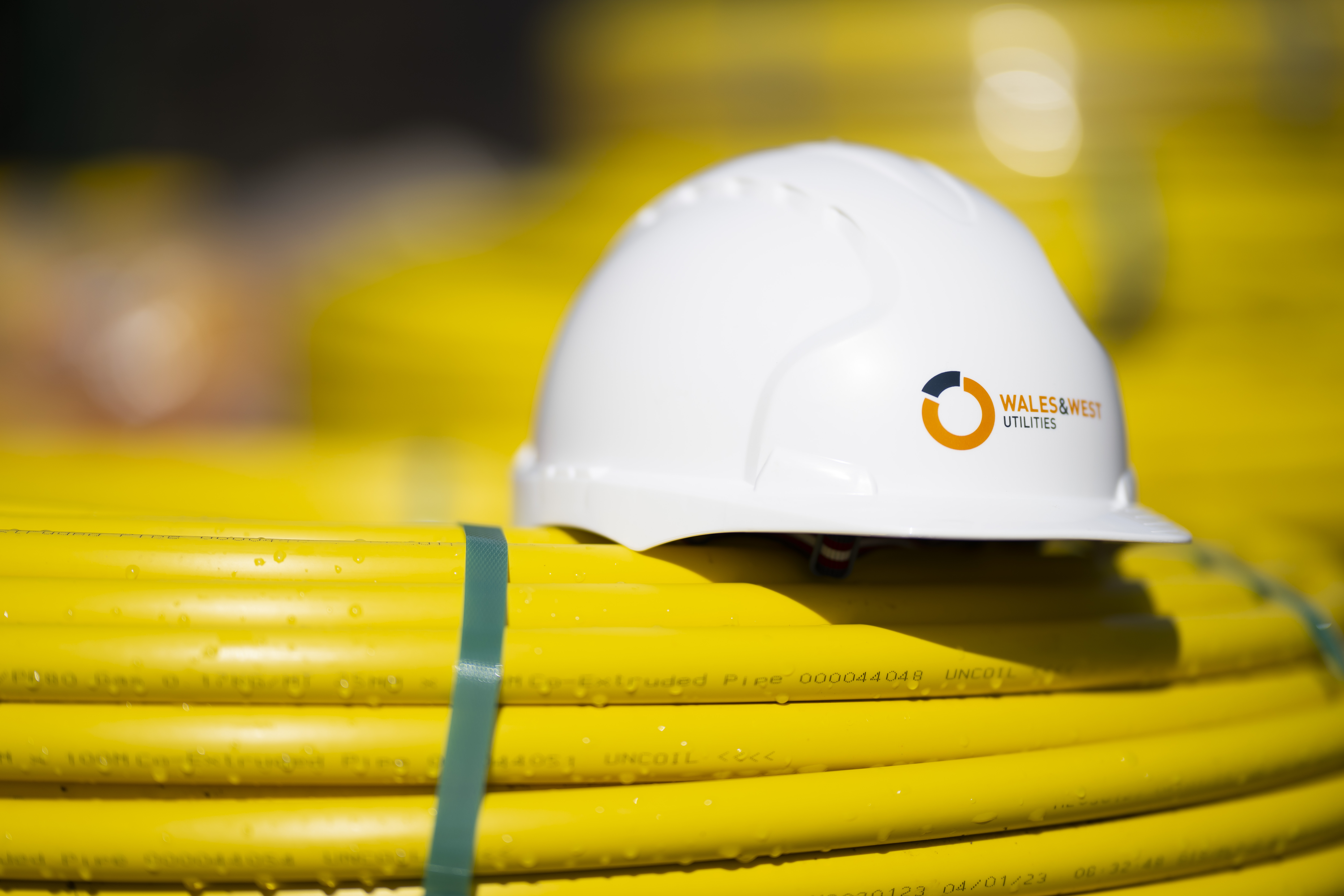 Yellow pipes stacked with white safety helmet WWU logo